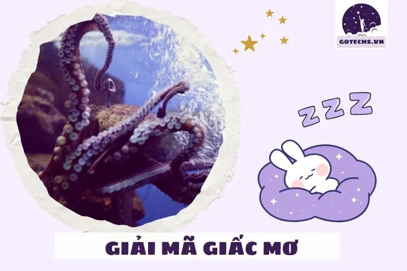 Áp dụng giấc mơ thấy bạch tuộc để cải thiện cuộc sống