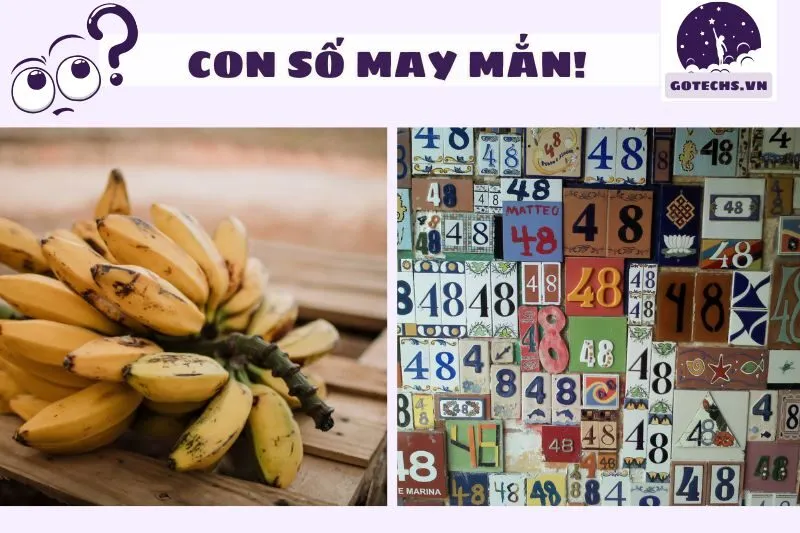 Các con số liên quan đến giấc mơ thấy chuối