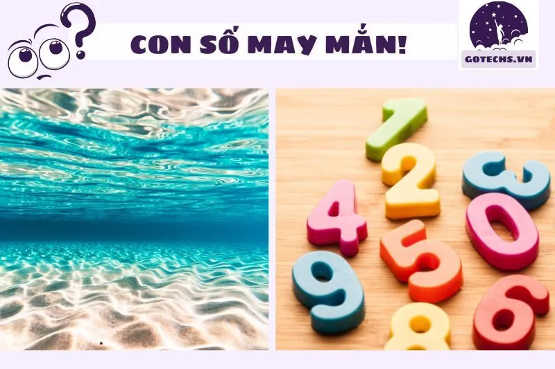 Các Con Số May Mắn Khi Mơ Thấy Biển