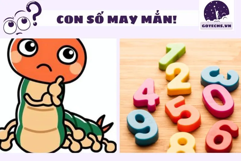 Các Con Số May Mắn Liên Quan Đến Giấc Mơ Thấy Rết