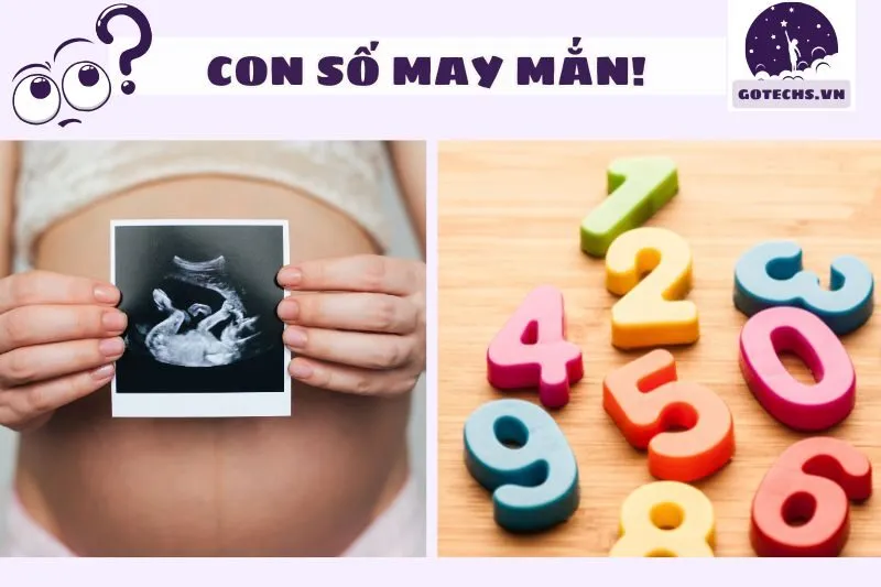 Các con số may mắn liên quan đến giấc mơ