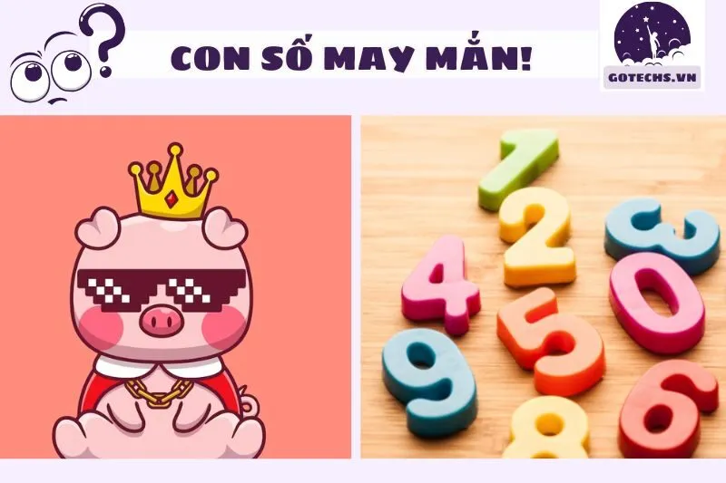 Các Con Số May Mắn Liên Quan