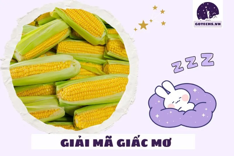 Các dấu hiệu xấu khi nằm mơ thấy bắp ngô