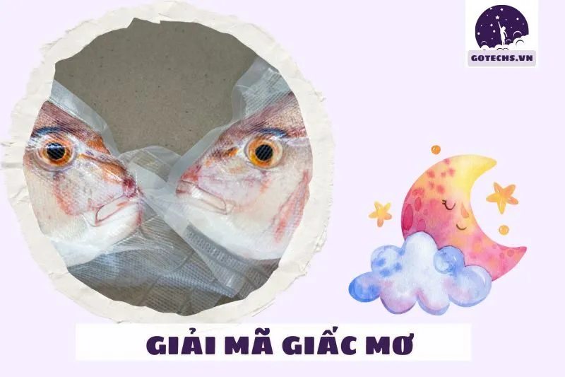 Các Điềm Báo Khi Nằm Mơ Thấy Làm Thịt Cá