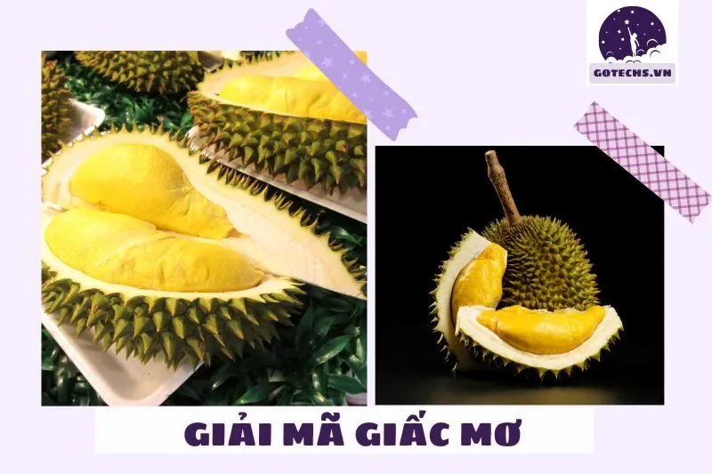 Các điềm báo khi nằm mơ thấy trái sầu riêng