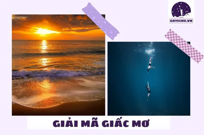 Các Loại Giấc Mơ Thấy Bơi Lội Và Ý Nghĩa Cụ Thể