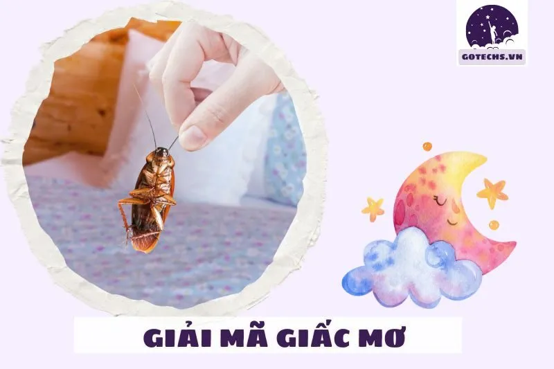 Các loại giấc mơ thấy gián và điềm báo cụ thể