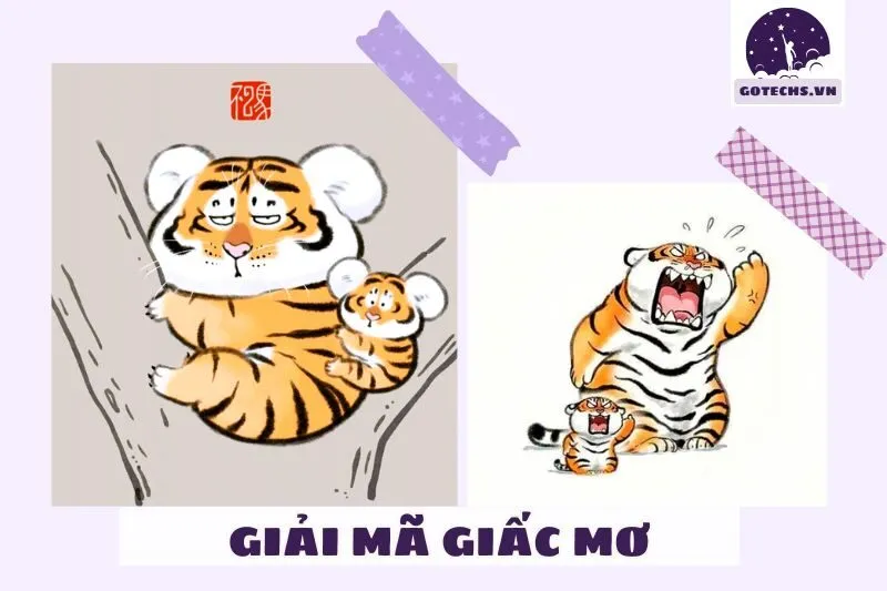 Các loại giấc mơ thấy hổ phổ biến và ý nghĩa cụ thể