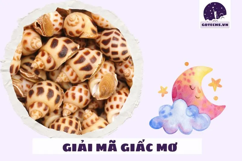 Các Loại Giấc Mơ Thấy Ốc Và Điềm Báo Cụ Thể
