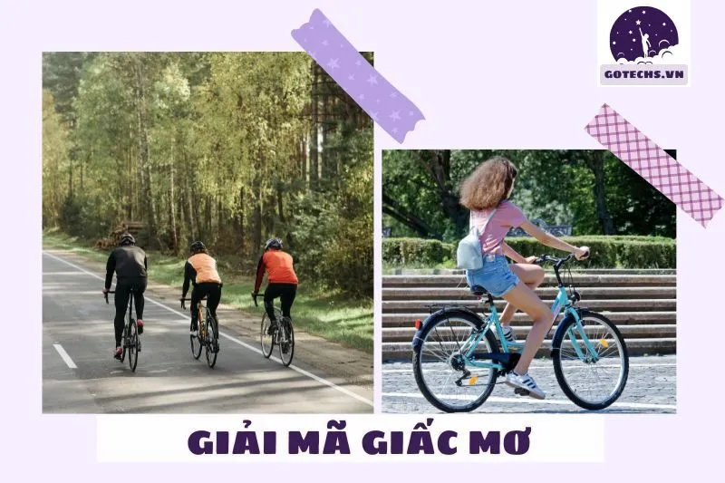 Các loại giấc mơ về xe đạp và dấu hiệu dự báo tương lai