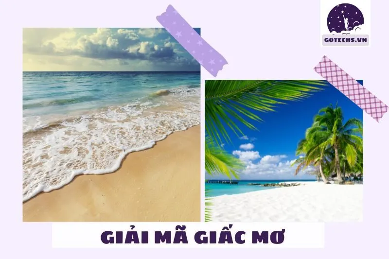 Các Loại Nằm Mơ Thấy Biển và Điềm Báo Cụ Thể