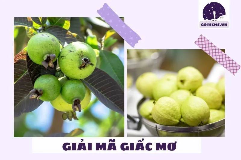 Các lưu ý để hiểu đúng về giấc mơ