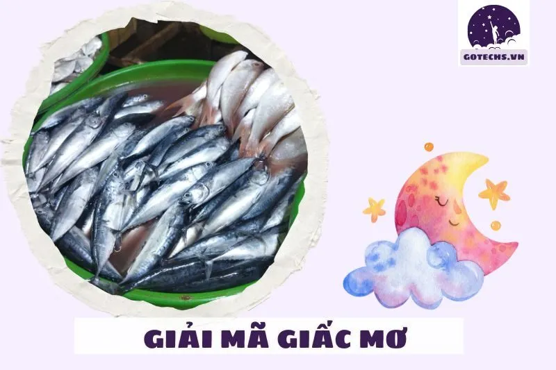 Các Lưu Ý Khi Giải Mã Giấc Mơ Làm Thịt Cá