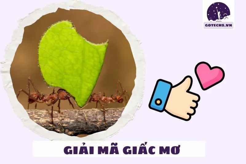 Các Tác Động Của Việc Mơ Thấy Kiến Đến Sự Nghiệp