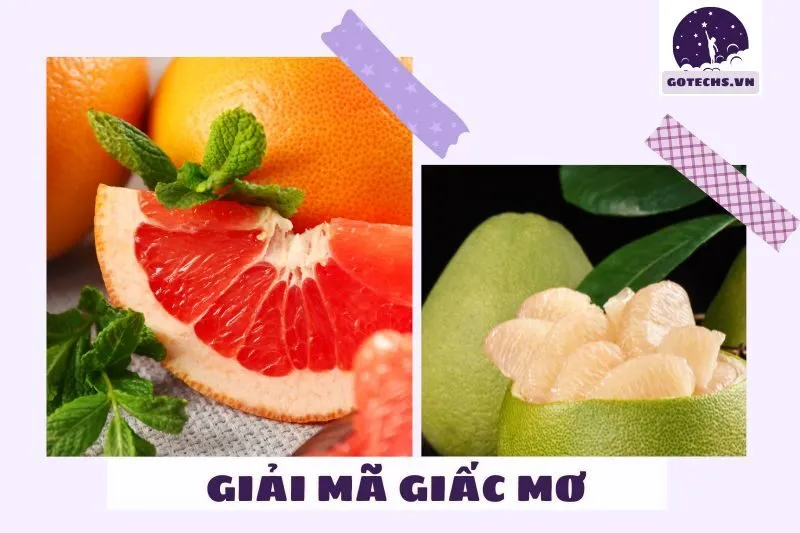 Các tình huống phổ biến khi nằm mơ thấy quả bưởi