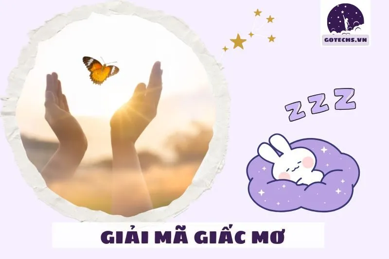 Các tình huống trong giấc mơ thấy bướm và ý nghĩa