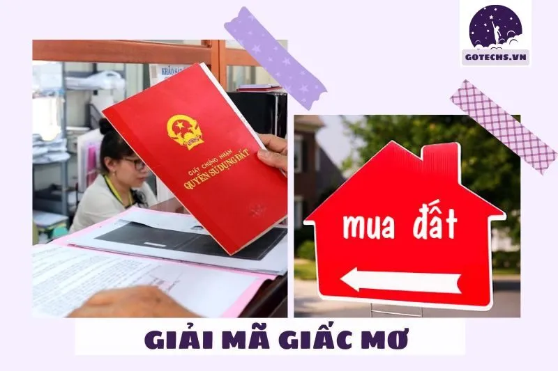 Các trường hợp cụ thể của giấc mơ thấy mua đất và ý nghĩa