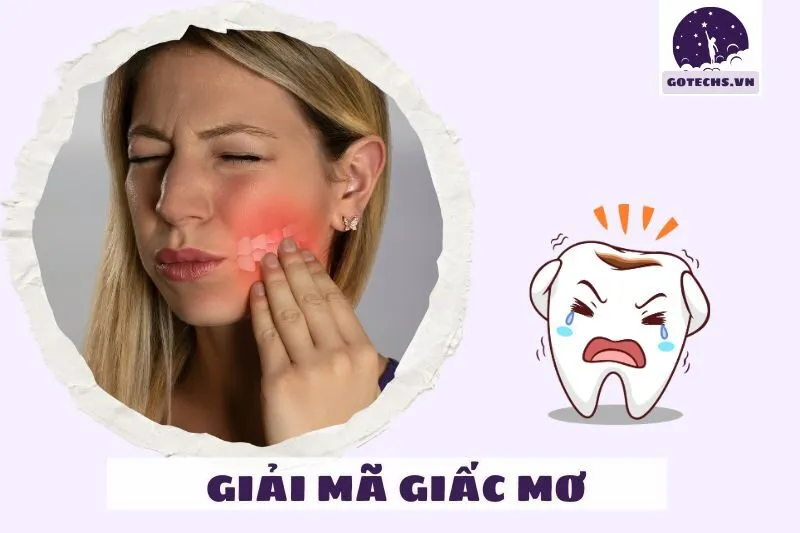 Các Trường Hợp Khác Nhau