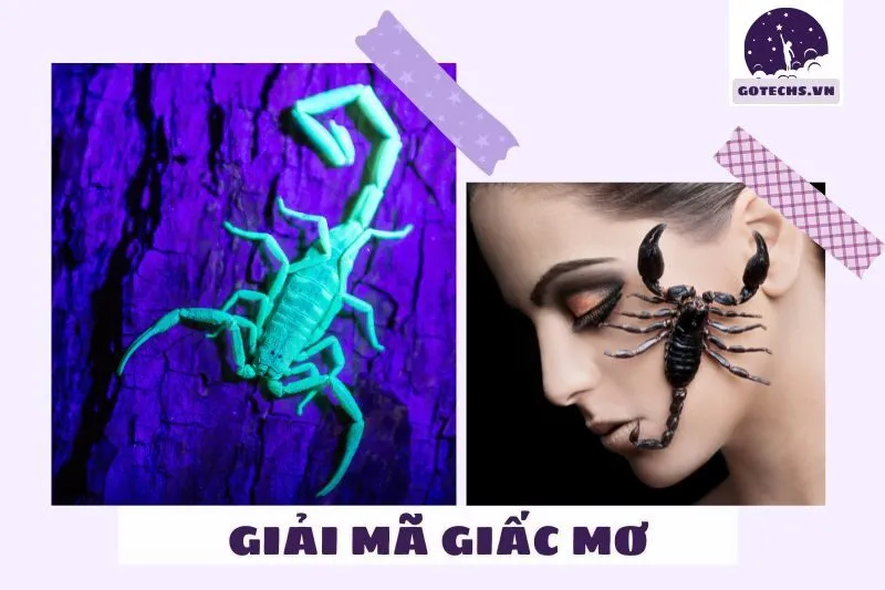 Các trường hợp mơ thấy bò cạp và ý nghĩa cụ thể