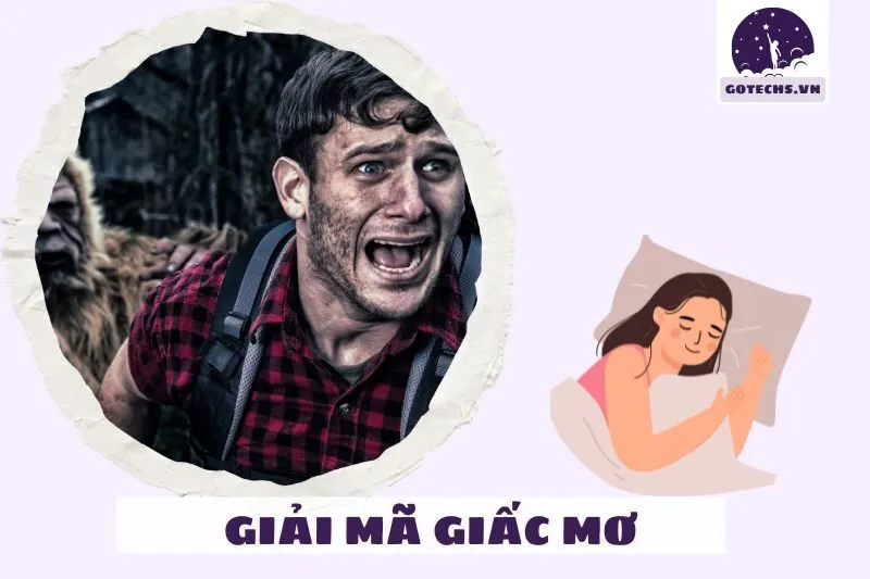 Các trường hợp nằm mơ thấy bị rượt đuổi và ý nghĩa chi tiết