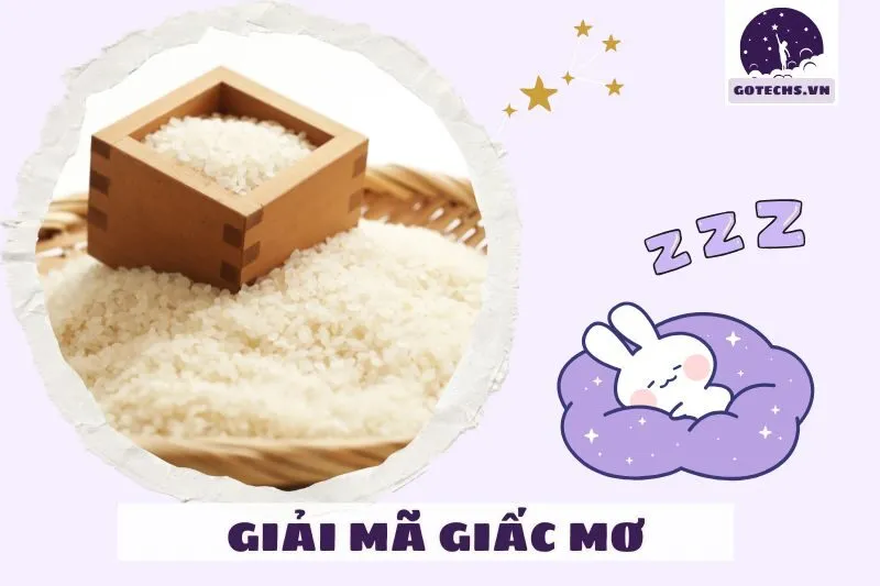 Cách áp dụng ý nghĩa giấc mơ gạo vào đời sống thực tế