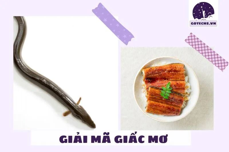 Cách giải mã giấc mơ thấy lươn chính xác nhất