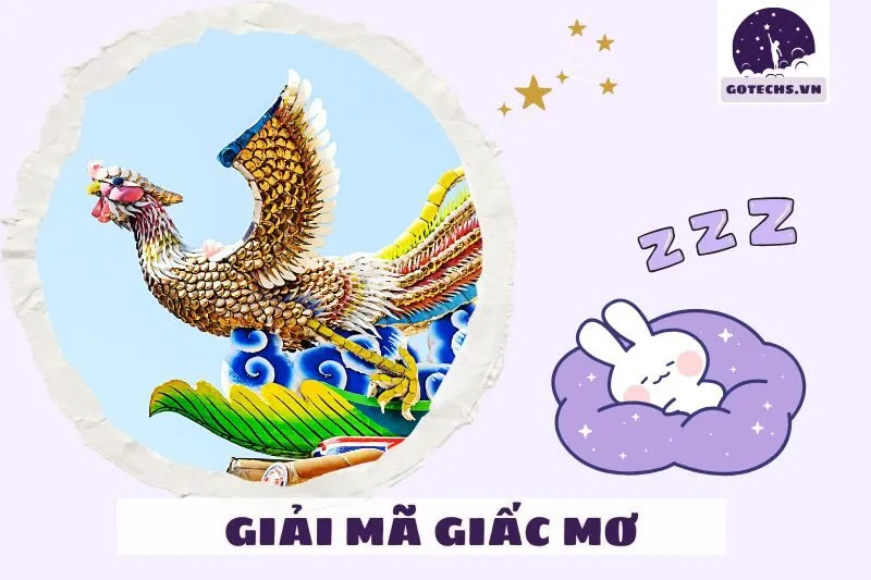 Cách giải quyết khi giấc mơ thấy phượng hoàng