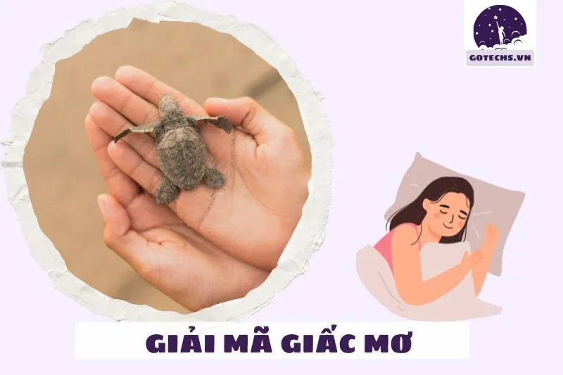 Cách giữ gìn và phát huy những điềm tốt