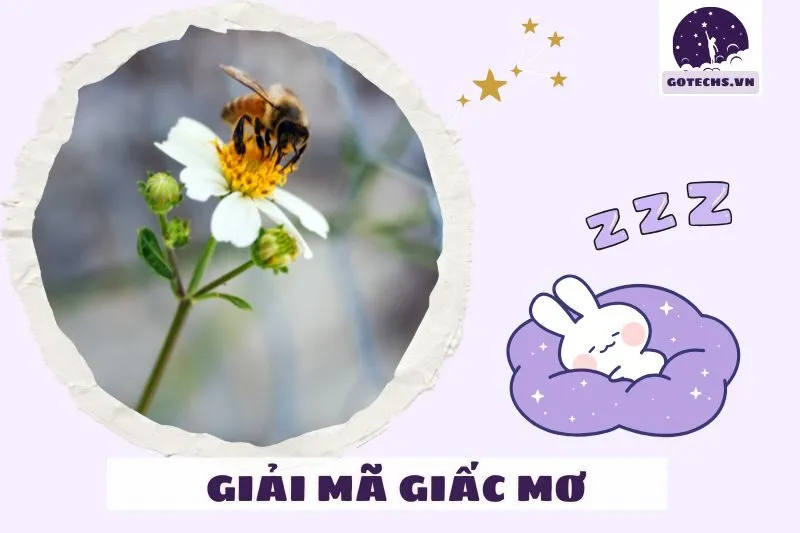 Cách hiểu đúng về giấc mơ thấy ong trong đời sống