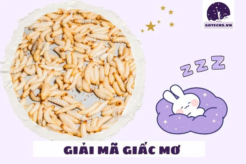Cách hóa giải những giấc mơ tiêu cực về dòi