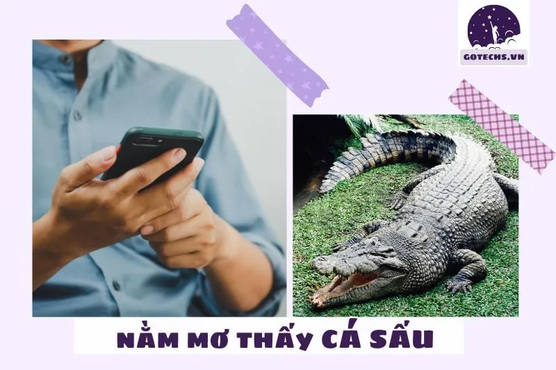 Cách xử lý và áp dụng ý nghĩa giấc mơ nằm mơ thấy cá sấu trong cuộc sống