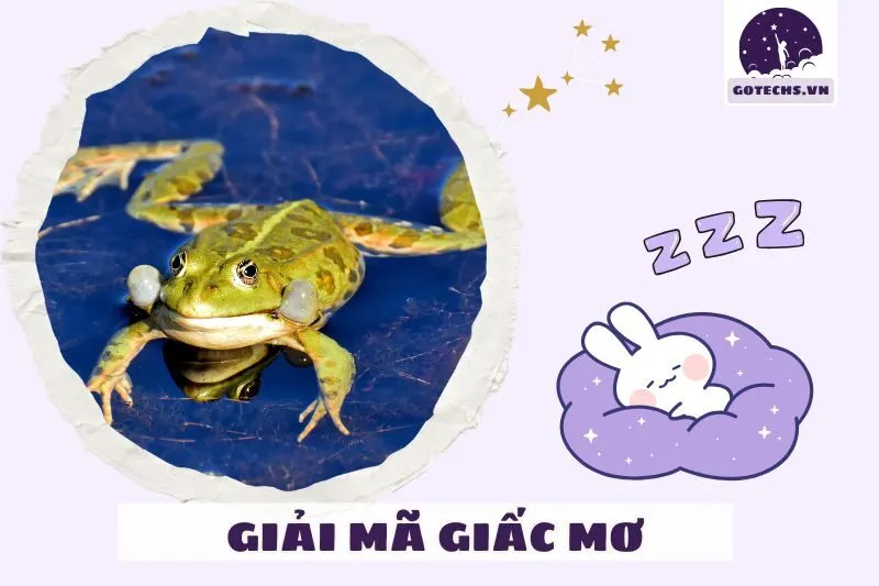 Câu chuyện tâm linh và bài học từ giấc mơ thấy cóc