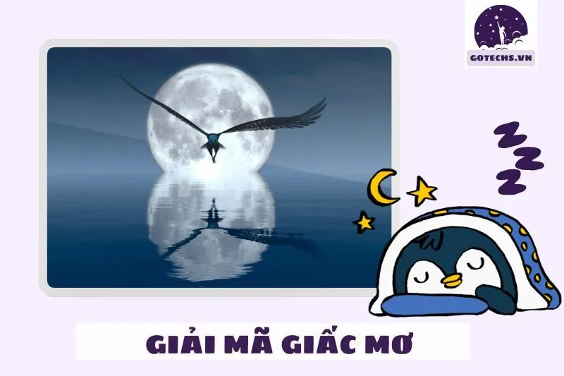 Câu hỏi thường gặp về nằm mơ thấy đại bàng