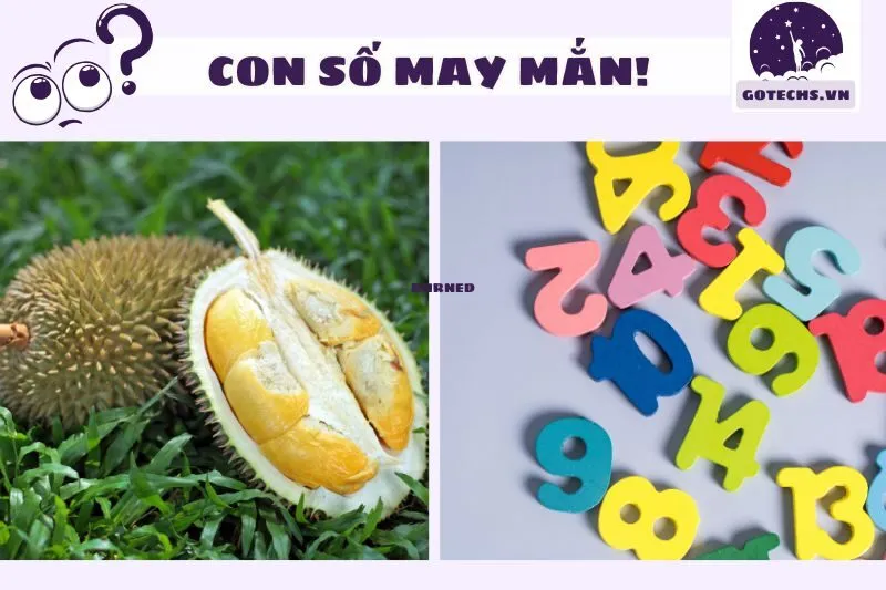 Con số liên quan đến giấc mơ thấy sầu riêng