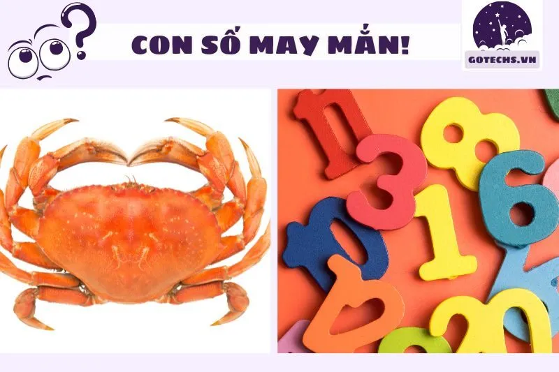 Con số liên quan khi mơ thấy cua