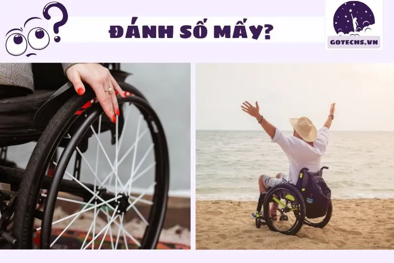 Con Số May Mắn Khi Mơ Thấy Xe Lăn