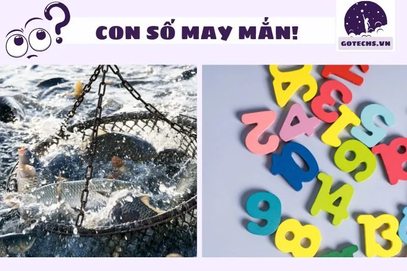 Con số may mắn khi nằm mơ thấy bắt cá