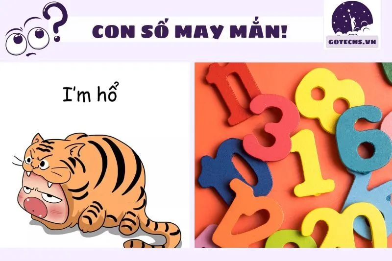 Con số may mắn khi nằm mơ thấy hổ