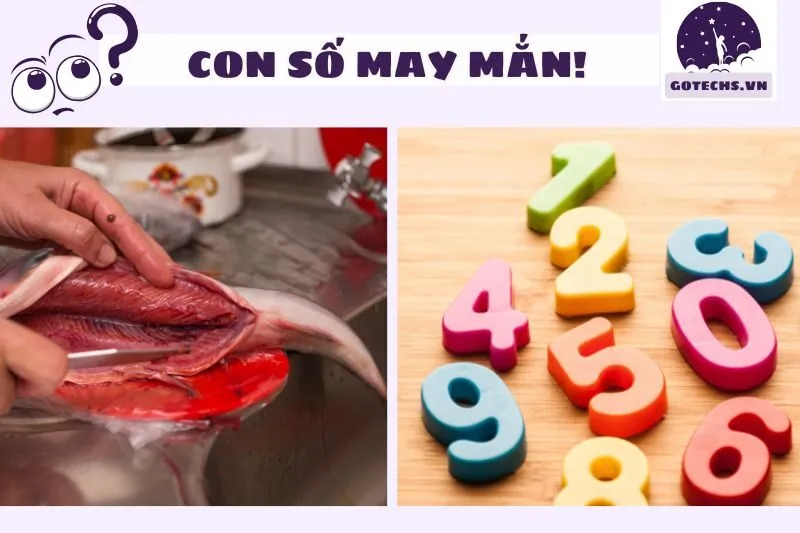 Con Số May Mắn Khi Nằm Mơ Thấy Làm Thịt Cá