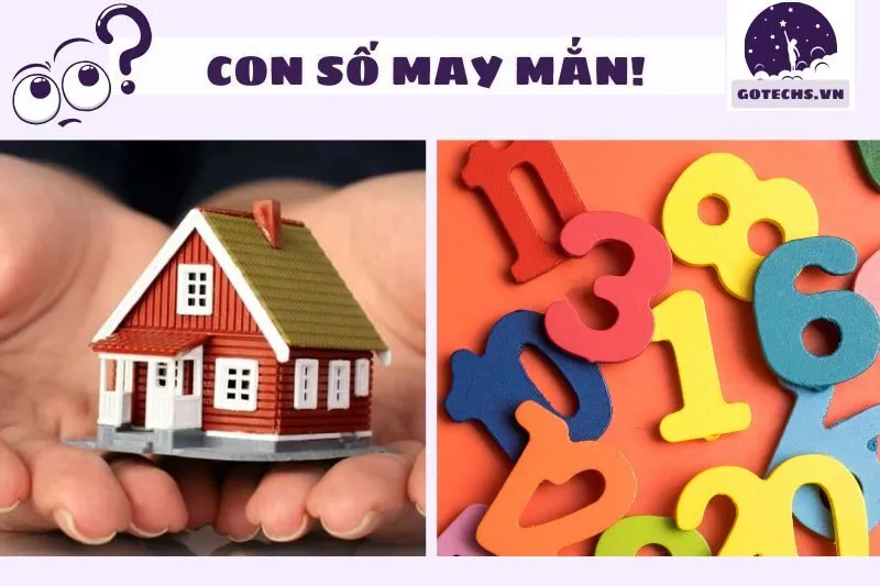 Con số may mắn khi nằm mơ thấy mua đất