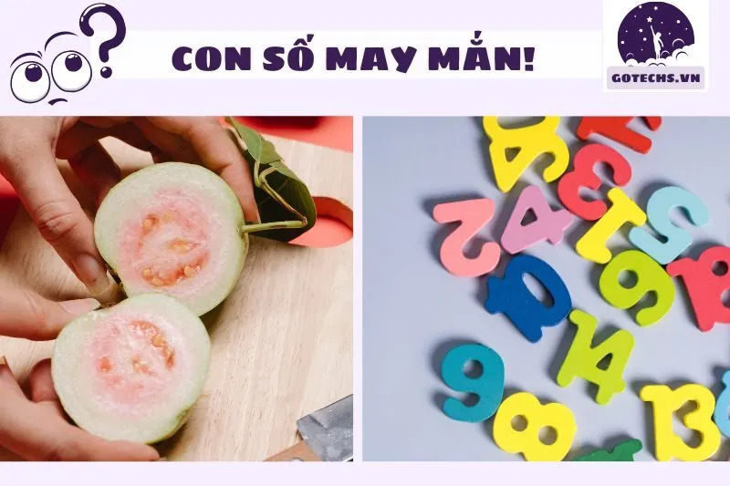 Những con số may mắn liên quan đến giấc mơ thấy trái ổi