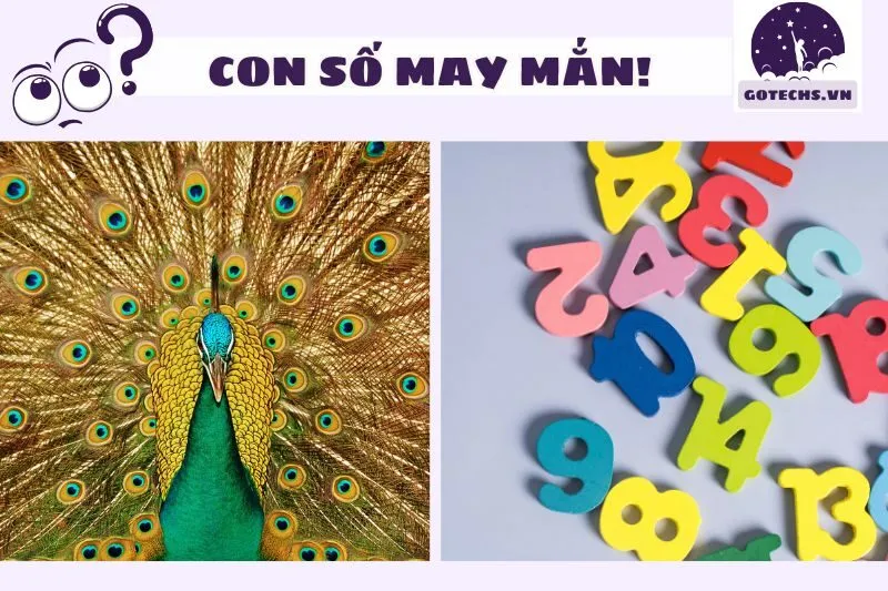 Con số may mắn khi ngủ mơ thấy chim công