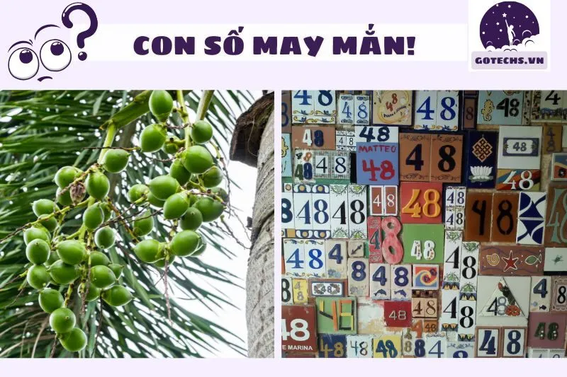 Con số may mắn liên quan đến giấc mơ buồng cau