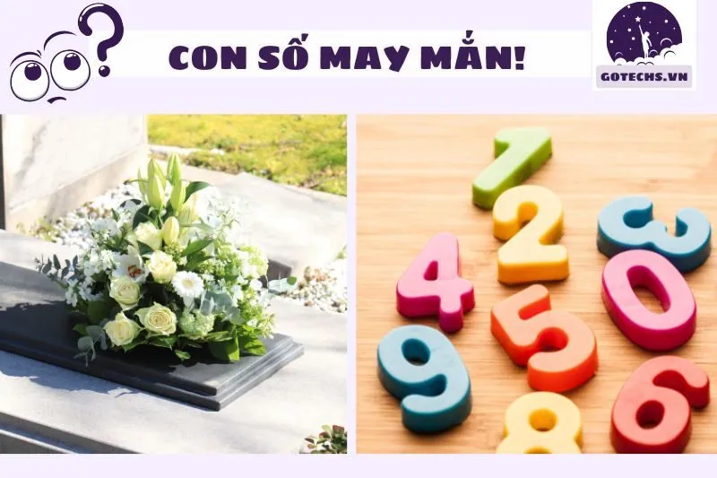 Con số may mắn liên quan đến giấc mơ mất tiền