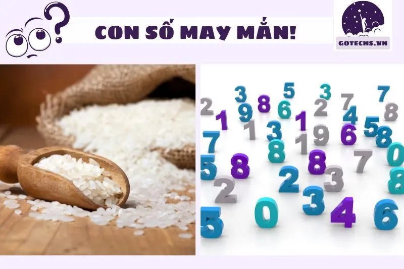 Con số may mắn liên quan đến giấc mơ nằm mơ thấy gạo