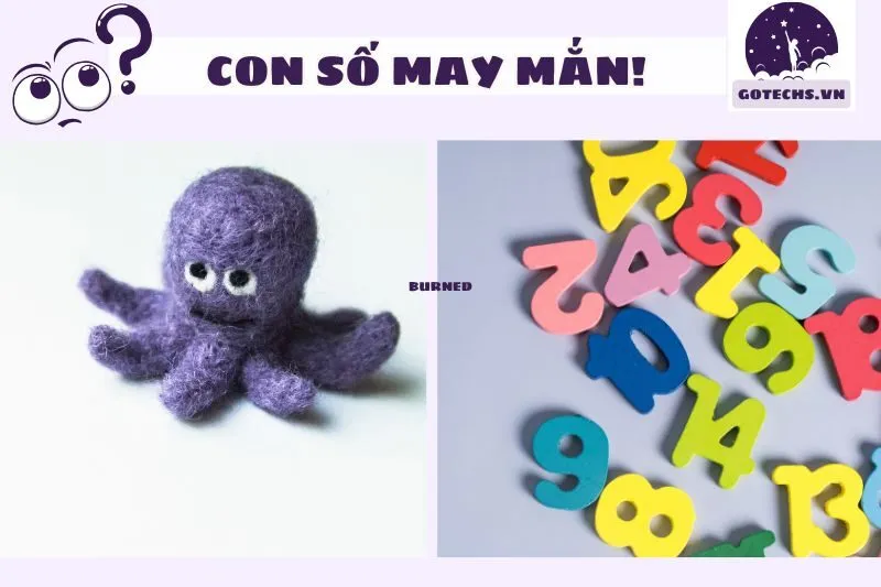 Con số may mắn liên quan đến giấc mơ thấy bạch tuộc