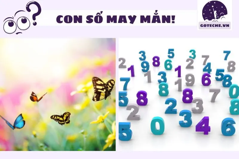 Con số may mắn liên quan đến giấc mơ thấy bướm
