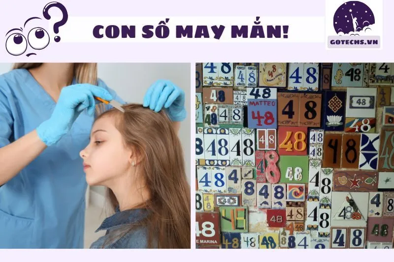 Con số may mắn liên quan đến nằm mơ thấy con chấy