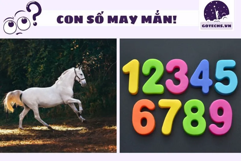 Con số may mắn liên quan đến giấc mơ thấy ngựa