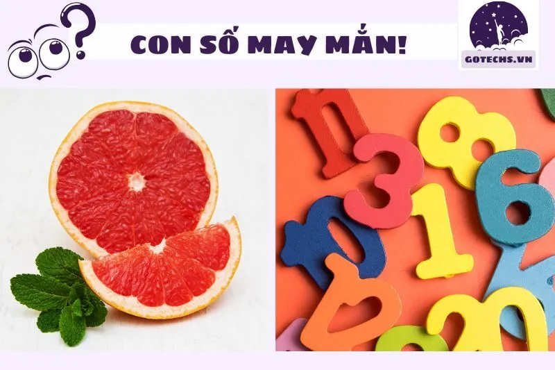 Con số may mắn liên quan đến giấc mơ thấy quả bưởi